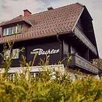 Haus Bachler アパート シュラートミンク