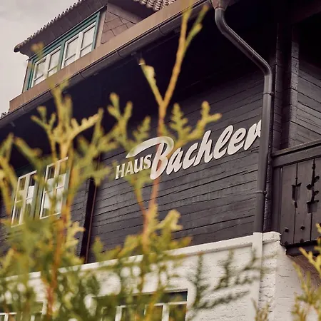 Haus Bachler * 斯拉德明